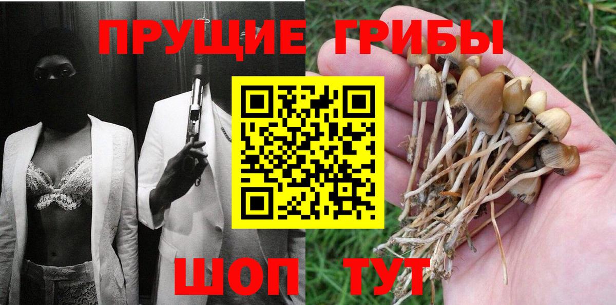 Александров  Галлюциногенные грибы Cubensis  Вход с VPN 