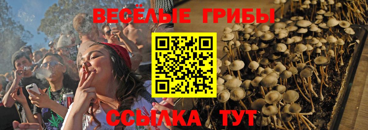 Псилоцибиновые грибы GOLDEN TEACHER Александров